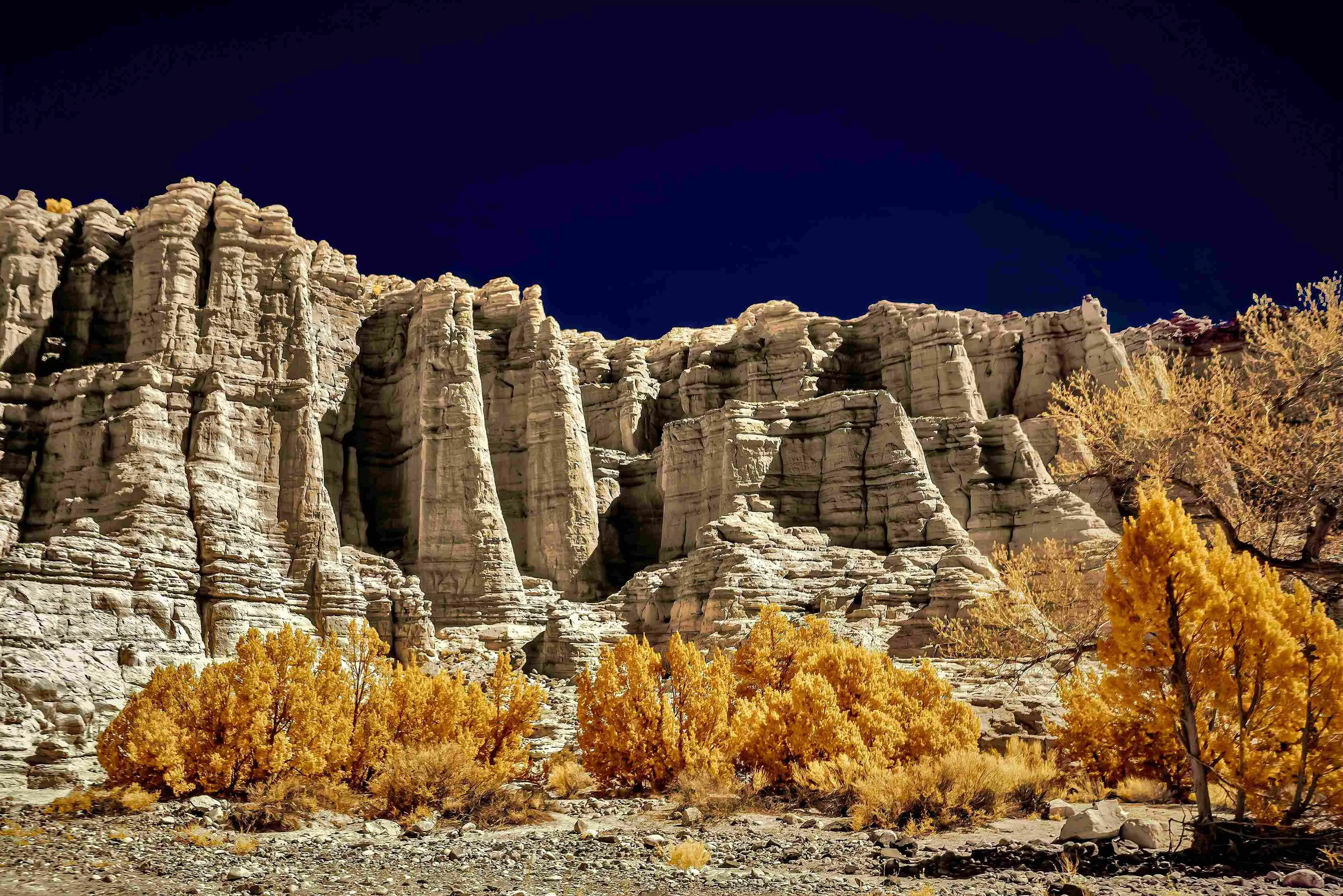 low-angle-shot-trees-front-beautiful-rocky-cliffs_11zon.webp